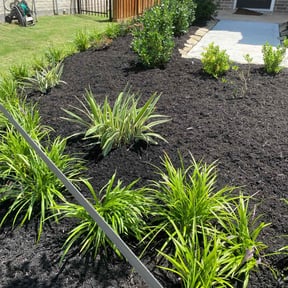 Mulching by Texas Best Lawn and Farm reviewed on November 27, 2022