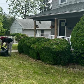 Bush Trimming by ez lawncare reviewed on July 20, 2020