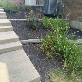 Leaf Removal by Phillips4seasons reviewed on April 25, 2025