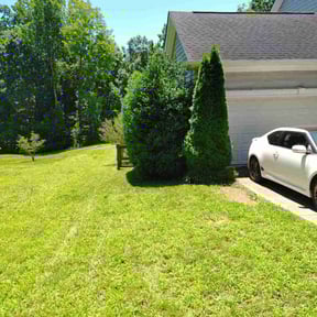 Bush Trimming by Cutting up Lawn and Tree Care reviewed on July 22, 2022