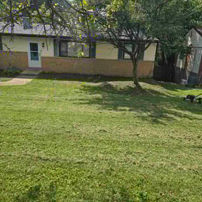 Flower Bed Weeding by LSLTDallas/FortWorthTruGreen reviewed on May 13, 2024