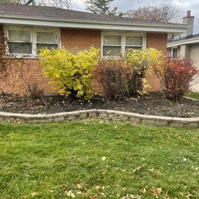 Bush Trimming by Whites property maintenance reviewed on April 19, 2022