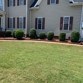 Bush Trimming by Rockville Landscaping reviewed on June 25, 2025