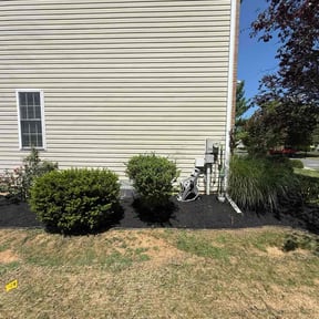 Mulching by Allentown lawn & landscape reviewed on July 29, 2025