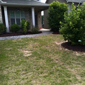 Mulching by Austin Way reviewed on July 8, 2022