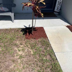 Mulching by Green clover group llc reviewed on July 2, 2025