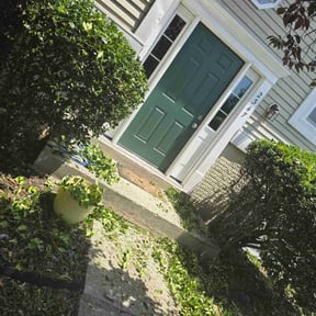 Bush Trimming by Clark and son lawn care reviewed on June 7, 2022