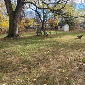 Leaf Removal by Evergreen property services reviewed on May 18, 2025