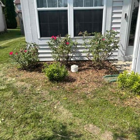 Flower Bed Weeding by Artavius Clark reviewed on June 2, 2022