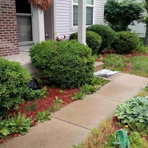 Bush Trimming by J&J Lawnz reviewed on July 5, 2022