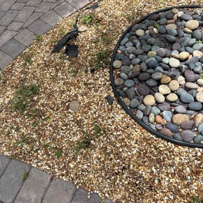 Flower Bed Weeding by LSLTDallas/FortWorthTruGreen reviewed on June 4, 2025