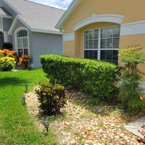 Bush Trimming by John's Lawn Maintenance reviewed on July 25, 2022