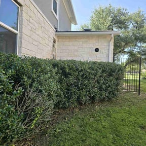 Bush Trimming by Chris’s Lawn Service reviewed on September 9, 2020