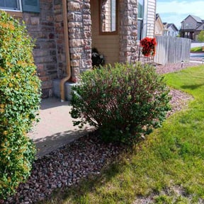 Bush Trimming by ARTHURS LAWN AND LANDSCAPE reviewed on July 11, 2022