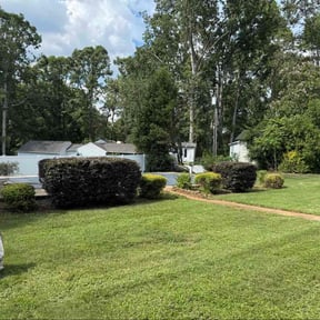 Bush Trimming by Loyal Landscaping reviewed on February 22, 2025