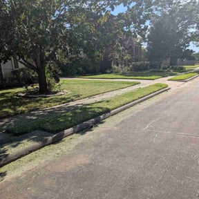 Flower Bed Weeding by Irvine Lawn Service reviewed on August 13, 2025