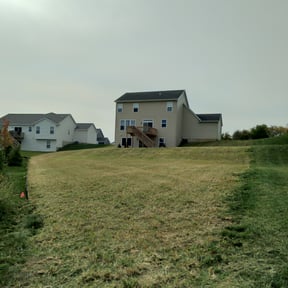 Cleanups by Carrion Home Services reviewed on June 19, 2022