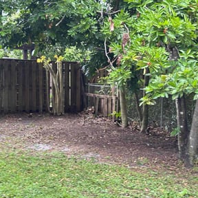 Leaf Removal by Major Services reviewed on March 15, 2025