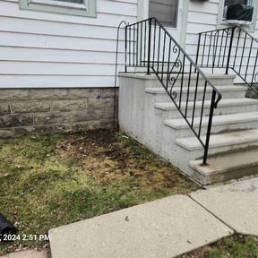 Leaf Removal by Finns landscaping reviewed on November 18, 2024