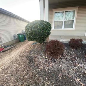 Bush Trimming by Complete Landscape Solutions reviewed on May 23, 2025
