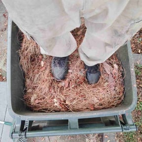Bush Trimming by C.A.B.D Lawn Services reviewed on July 21, 2020