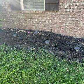 Flower Bed Weeding by Joseph's Tree removal & Lawncare reviewed on August 29, 2020