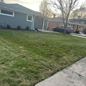 Leaf Removal by Bbth reviewed on June 1, 2022