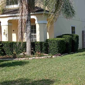 Bush Trimming by Grasman LLC reviewed on June 3, 2022
