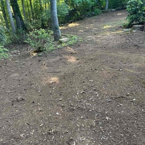 Leaf Removal by Fresh Cuts Lawn Professionals LLC reviewed on June 2, 2022