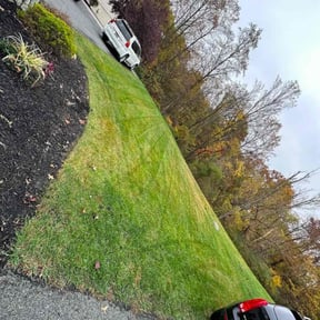 Cleanups by Edward's Lawn Care reviewed on July 20, 2021