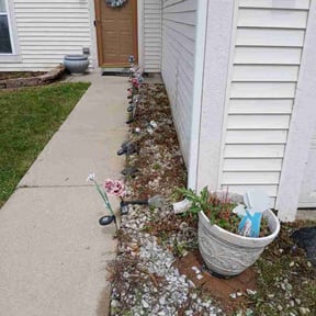 Weeding by Yanez Brothers Landscaping reviewed on May 31, 2025