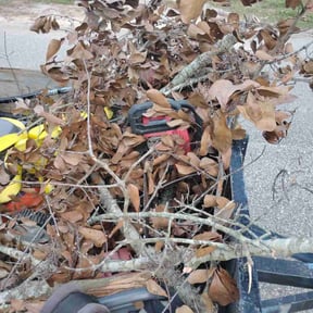 Cleanups by Top level lawn reviewed on April 4, 2025