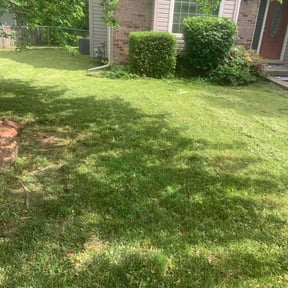 Bush Trimming by ARG landscape & Lawn LLC reviewed on August 14, 2025