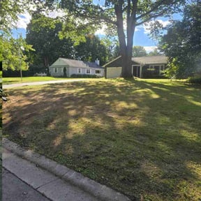 Leaf Removal by Lawn Junkie reviewed on July 20, 2022
