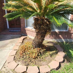 Bush Trimming by New Heights LawnCare reviewed on September 22, 2024