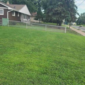 Cleanups by Olympus Outdoor Services reviewed on November 6, 2024