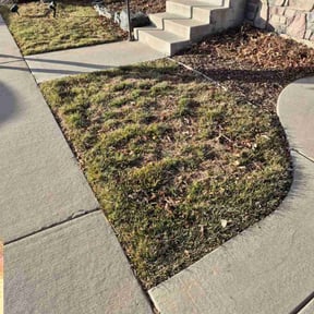Leaf Removal by E&M Landscaping reviewed on December 4, 2021