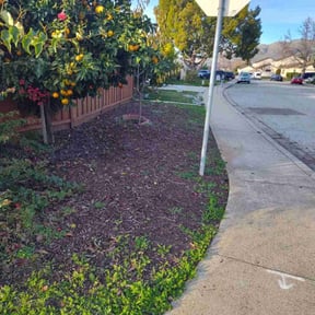 Leaf Removal by JoeMo. Lawn&Services reviewed on May 13, 2022