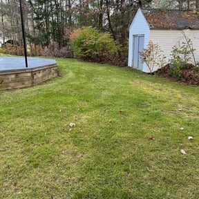 Cleanups by Rios Enterprise Lawn Mowing Services LLC reviewed on June 17, 2022