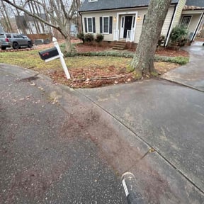 Leaf Removal by Delgado landscaping reviewed on May 3, 2025