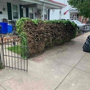 Bush Trimming by Hinks Lawn Care reviewed on September 7, 2024
