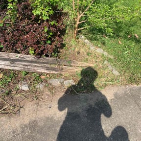 Flower Bed Weeding by TMD ELITE PROPERTY PRESERVATION LLC reviewed on September 8, 2021