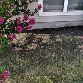 Flower Bed Weeding by The Lawn Care Guy reviewed on April 27, 2022