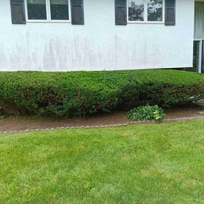 Bush Trimming by Steve's Lawn Care reviewed on May 21, 2025
