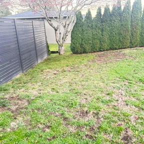 Leaf Removal by Leon's Landscape and Concepts reviewed on June 20, 2022