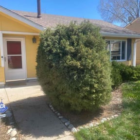Bush Trimming by Supaman lawncare reviewed on April 5, 2022