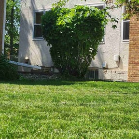 Bush Trimming by Lawncare reviewed on June 30, 2025