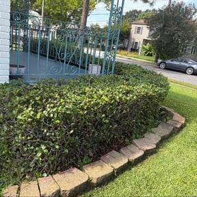 Bush Trimming by United Hands Royalty Lawn Care reviewed on November 14, 2023