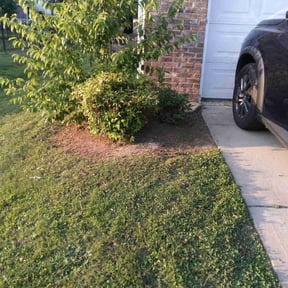 Flower Bed Weeding by Dunnican's lawn care reviewed on August 27, 2020