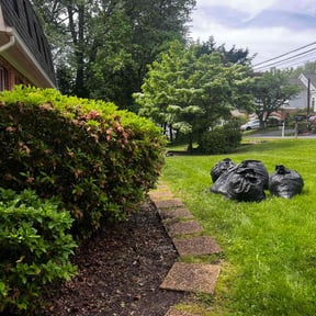 Cleanups by Nice Lawns on Wheels reviewed on May 27, 2022